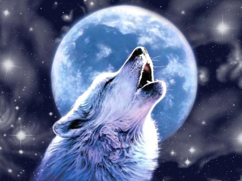 Создать мем: картина волк воет на луну, луна волк, воющий волк