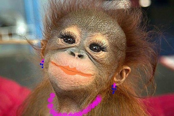 Create meme: monkey with lipstick, the monkey is funny, The painted monkey is a joke