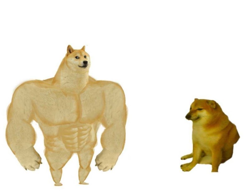 Create meme: doge meme Jock, the pumped-up dog from memes, doge is a jock