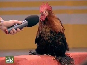 Create meme: interview with the cock meme, cock with microphone meme original, interview with the cock