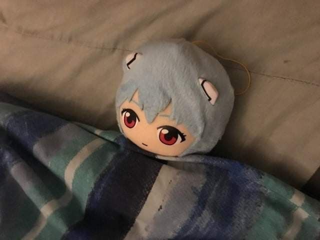 Create meme: anime funny, ayanami Rei toy, soft toy ayanami rei