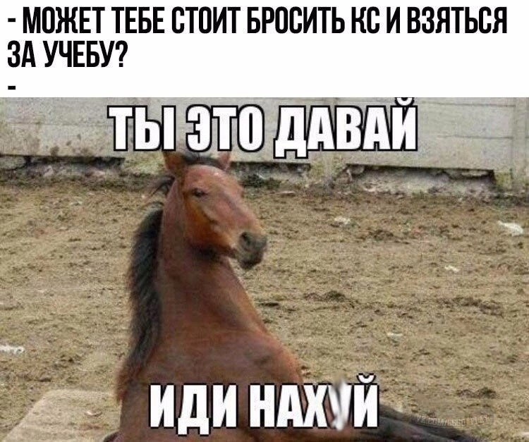 Create meme: horse meme, meme horse , You go ahead and do it