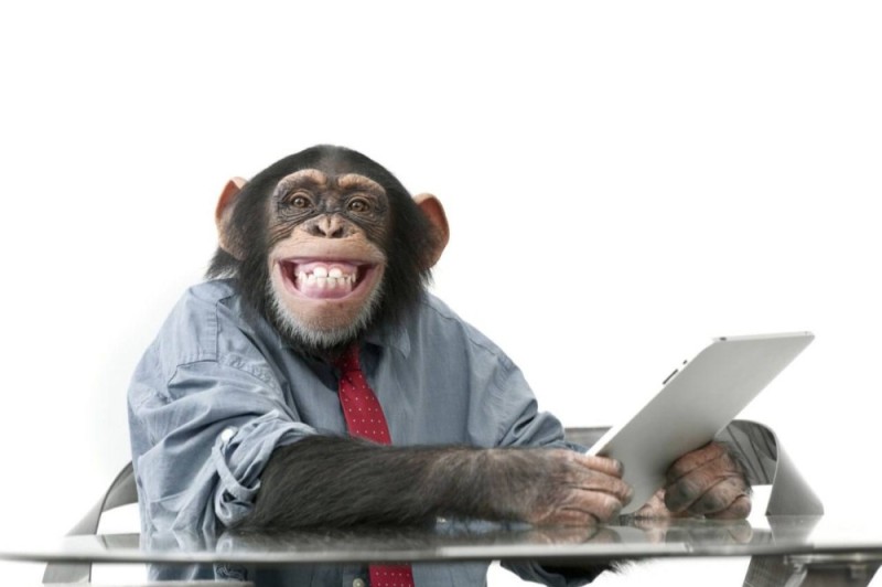 Create meme: chimpanzees , monkey behind a computer, monkey in the office