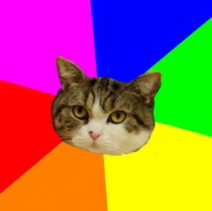 Create meme: Cat Maru