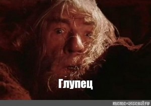 Create meme: fool, run you fools, Gandalf fools