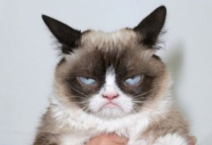 Создать мем: злой кот грампи кэт, грампи кэт улыбается, grumpy cat