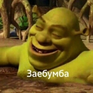 Create meme: memes with Shrek, Shrek, Shrek meme zabumba