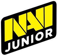 Создать мем: na vi, Natus Vincere, navi junior