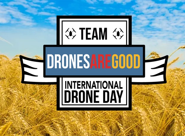 Create meme: international drone day, screenshot , the bread around the head