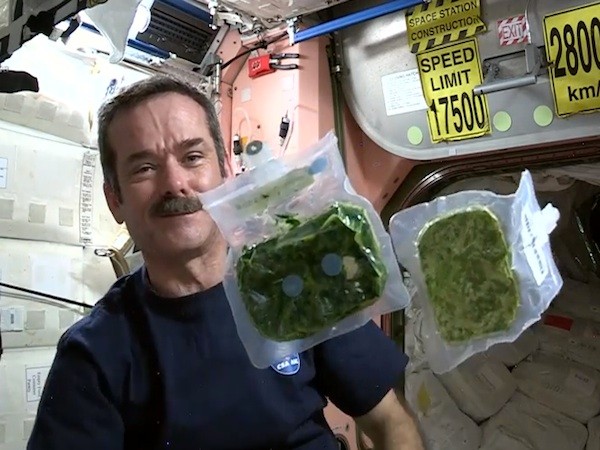 Космонавт с марихуаной конопля от чего желтеют листья у