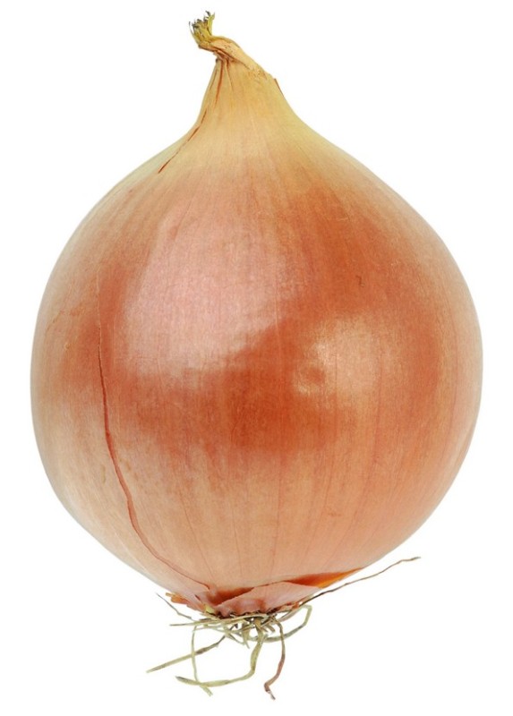Create meme: onion , onion vegetable, onion lyk