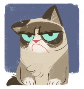 Создать мем: угрюмый кот, недовольный кот, грустный кот арт