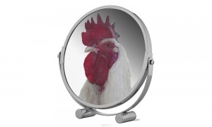 Create meme: rooster, mirror cosmetic table, cock in the mirror