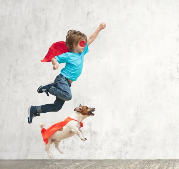 Create meme: The hero is a flying dog, jumping dog, The dog is a superhero