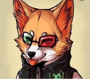 Создать мем: счастливый лис аватарка, фокс крутой, картинки для кс го аву лиса в очках