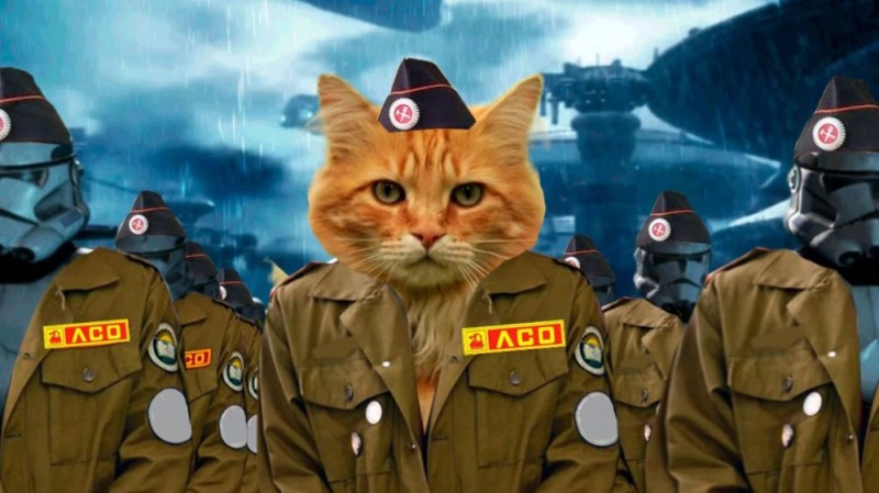 Create meme: The army of seals, The cat is the commander, cat general