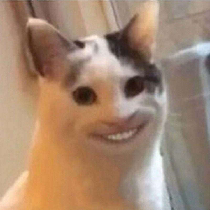 Create meme: smiling cat meme, a cat with a human smile, meme cat 