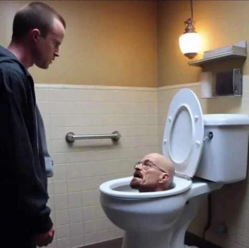 Create meme: american toilet, the head from the toilet, head in the toilet