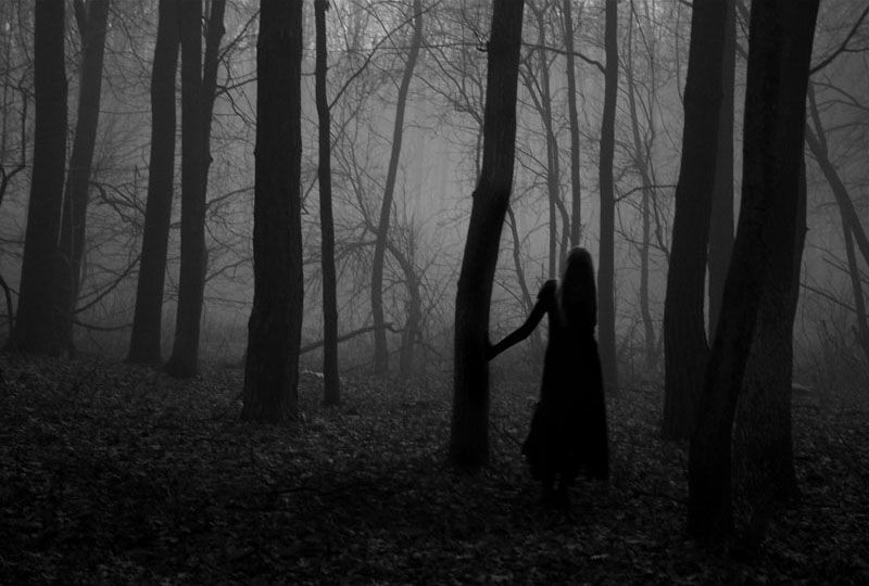 Создать мем: девушка в темном лесу, темный силуэт в лесу, лес мрачный