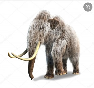 Create meme: mammoth, mammoth, the woolly mammoth