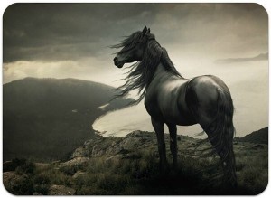 Создать мем: черная лошадь, арт конь одиночество, красивые лошади