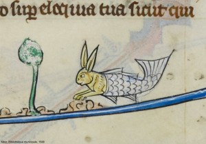 Create meme: medieval, medieval rabbits pictures, rabbits in medieval manuscripts