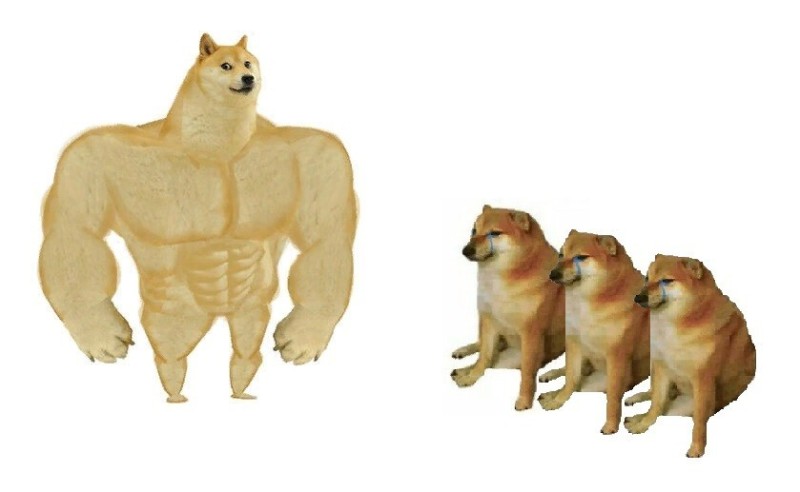 Create meme: inflated dog meme, doge is a jock, dog Jock meme