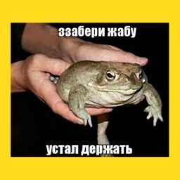 Создать мем: держу жабу, ля держи жабу, держи жабу оригинал