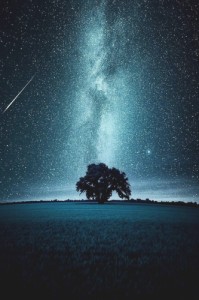 Create meme: unique photos, starry sky, fondos de pantalla