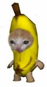 Create meme: cat banana, cat banana meme, a cat in a banana costume