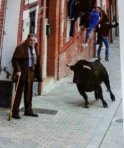 Create meme: bull, photo festival toro de cuerda bull pierces, the bull