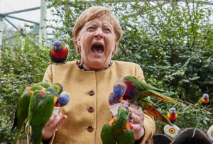 Создать мем: попугаи в европе, бабушка с попугаем, попугаев