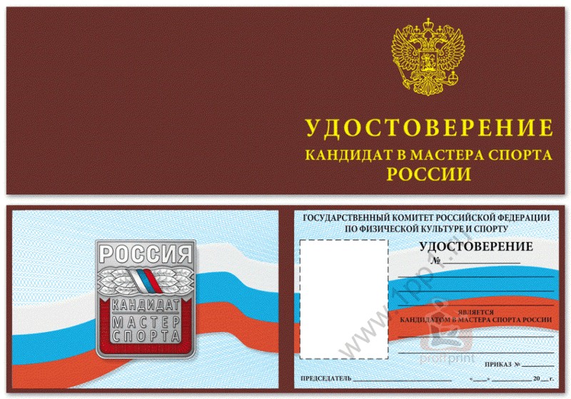 Create meme: certificate of the candidate for the Master of sports, certificate of the candidate for the Master of Sports of Russia, certificate of the Russian Navy