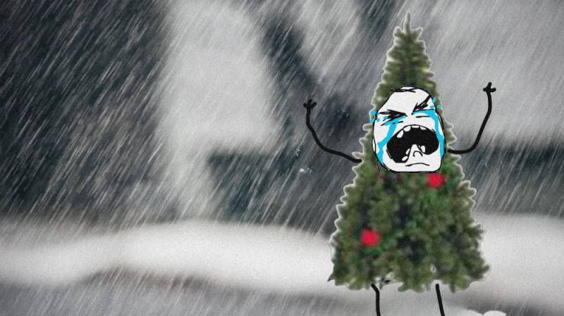 Create meme: Christmas tree, Christmas, snow with rain 