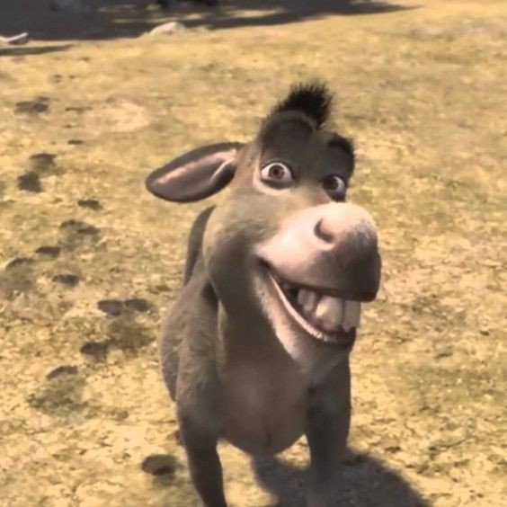 Create meme: smile donkey from Shrek, donkey from Shrek , Shrek donkey 