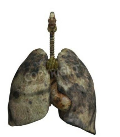Create meme: lungs of a smoker, the lungs of a smoker, smoker's lungs