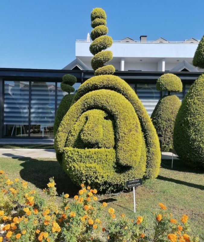 Create meme: topiary park quince, topiary art of cutting thuja, topiary figures