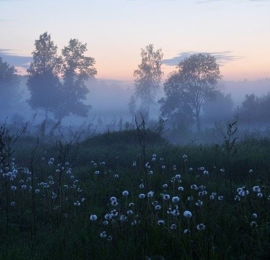 Create meme: fog in the morning, a clear field in the fog, early morning fog