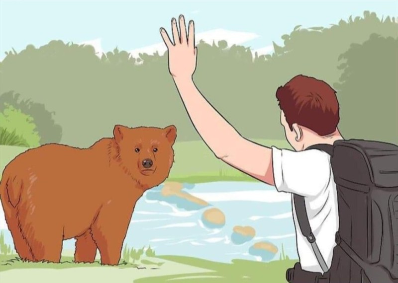 Create meme: wikiHow forest, bear under attack, bear vector