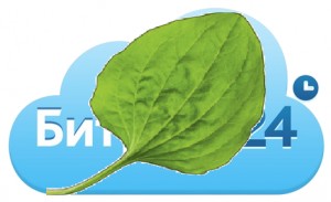 Create meme: leaves, green leaf, plantain leaf