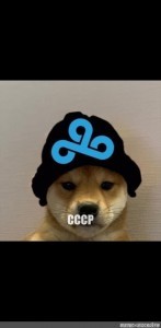 Create meme: Dog, dog in hat meme