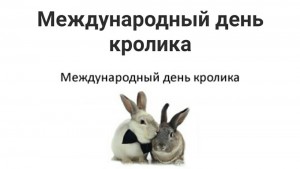 Create meme: rabbit, rabbit cute, international rabbit day