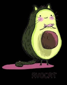 Create meme: stickers avocado, meme, avocado cat figure