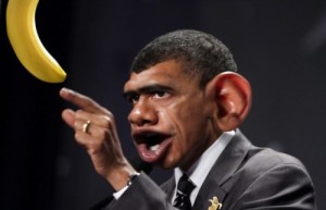 Create meme: Obama is a monkey