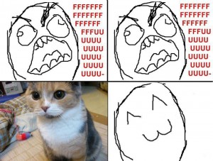 Создать мем: мемы на разные темы, fffuuu аггг, fffuuu cat