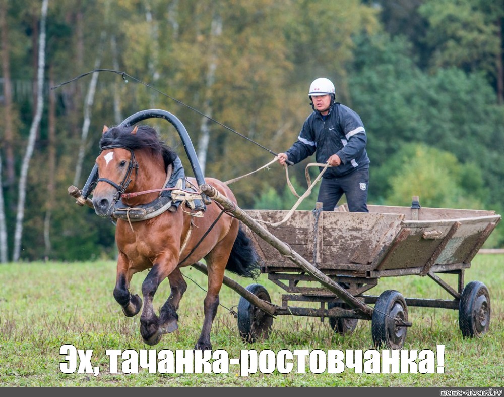 Как раньше в народе называли двухколесную повозку