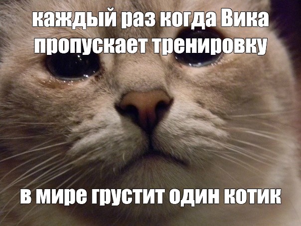 Мемы с котиками обида. Печальный кот Мем. Обиженный кот Мем. Мемы с котами отпустите с урока.