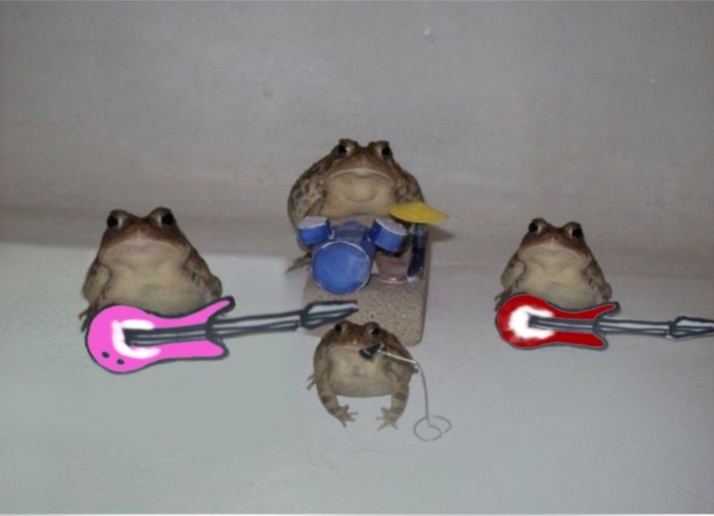 Create meme: meme toad , funny frog, Vital's toad is a pipe bugger