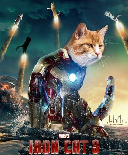 Create meme: poster a3 iron man, cat , hero cat