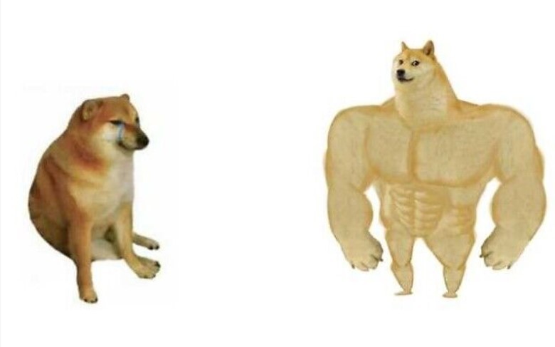 Create meme: inflated dog meme, shiba inu meme jock, the pumped-up dog from memes